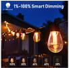 25-light 48ft Outdoor Plug-in Integrated LED Edison String Lights with Dimmer Timer, Bluetooth App Control